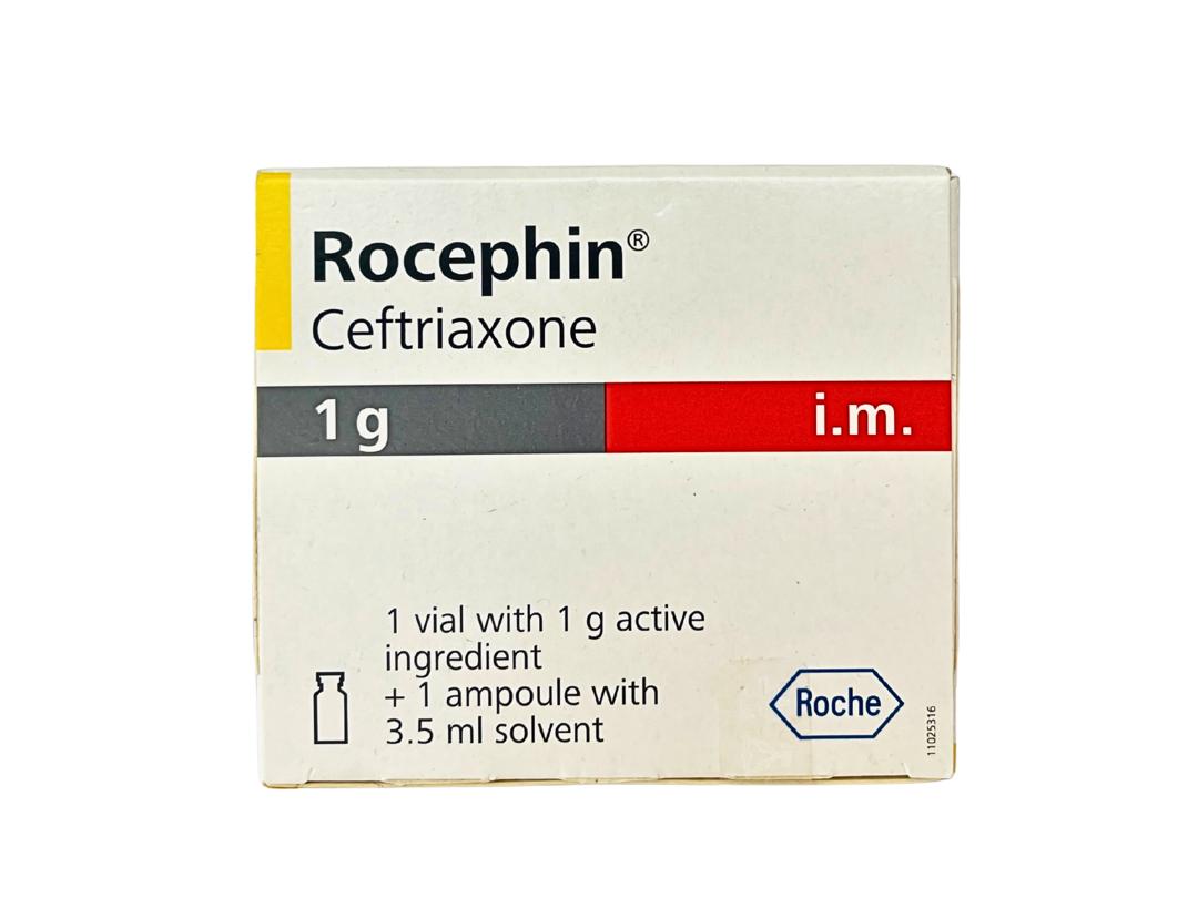 shared image - 2026-02-13T004518.318